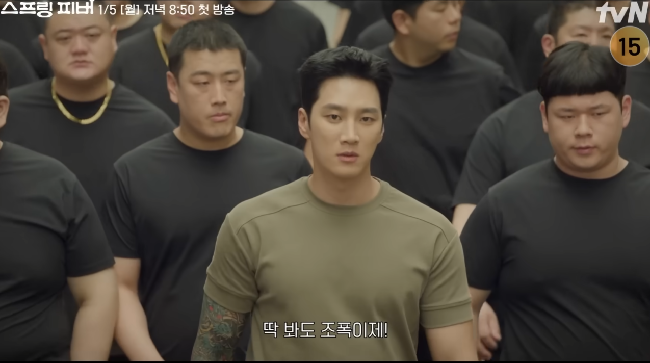 스프링 피버