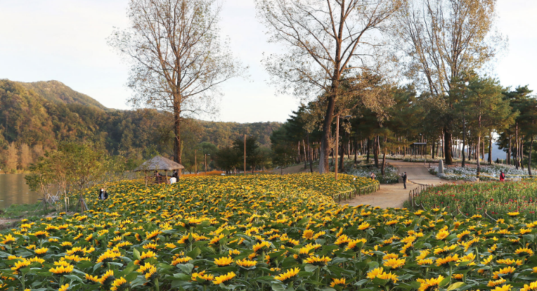 2024년 자라섬 꽃 페스타 일정