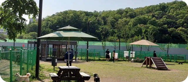 동탄여울공원 반려가족 놀이터