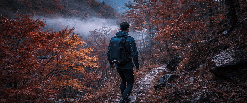 진드기 물린 후 증상과 치료방법