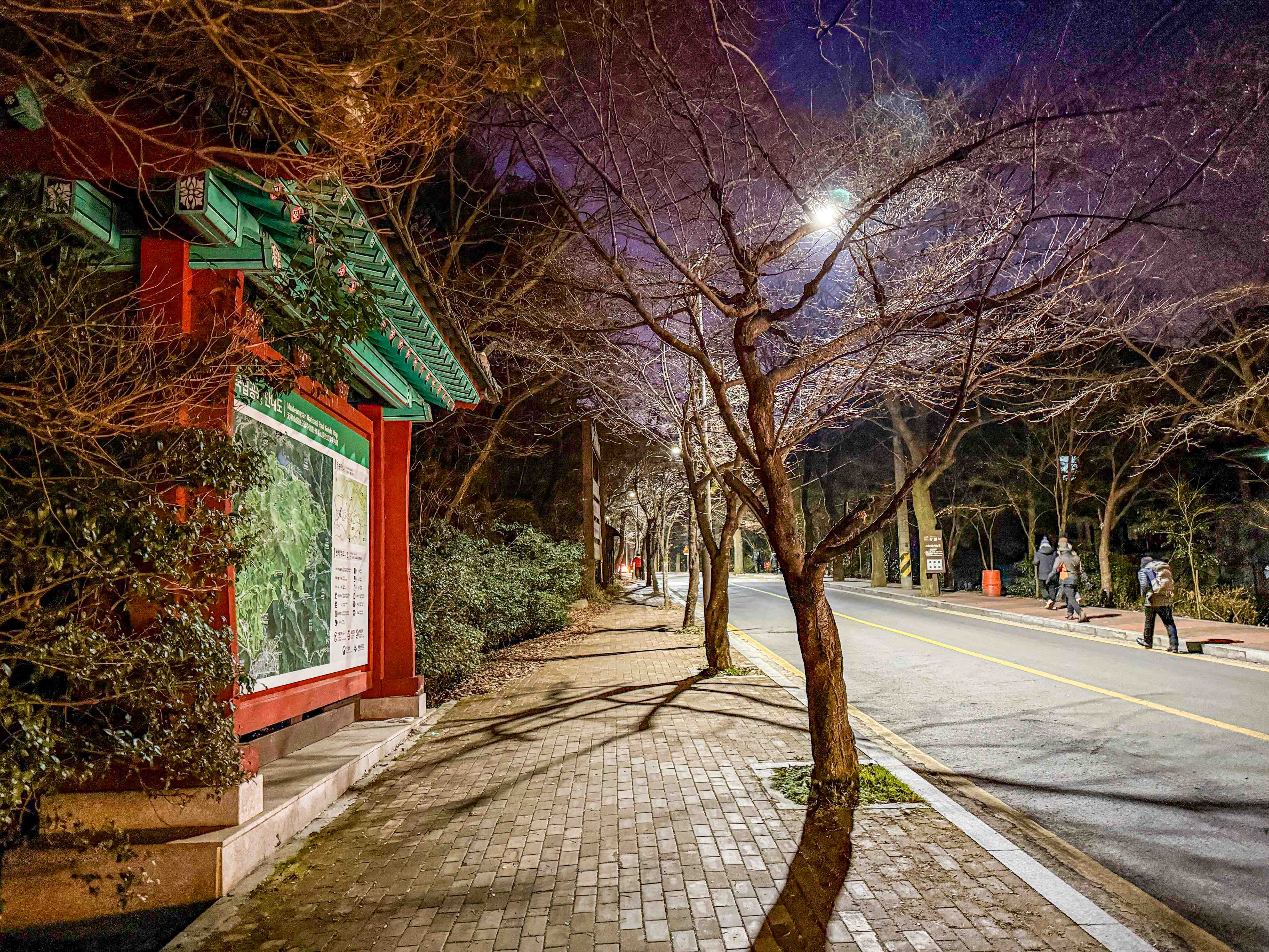 광주 해돋이 장소 중머리재