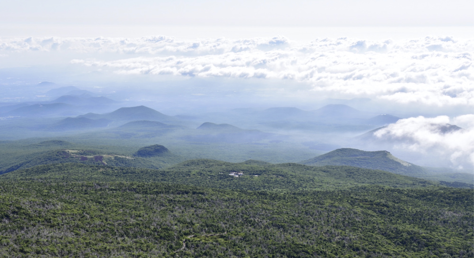 한라산 탐방 사전 예약 방법 &amp; 유의사항 완벽 가이드 (2025 최신)