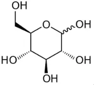 포도당-분자식