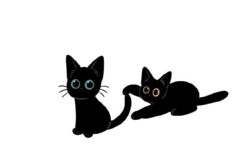 금복이이야기-금복이와다홍이