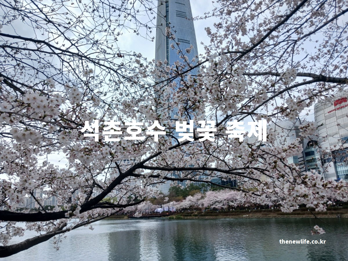 석촌호수 벚꽃 축제 대표사진
