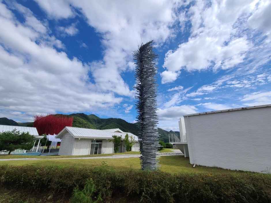 젊은달와이파크