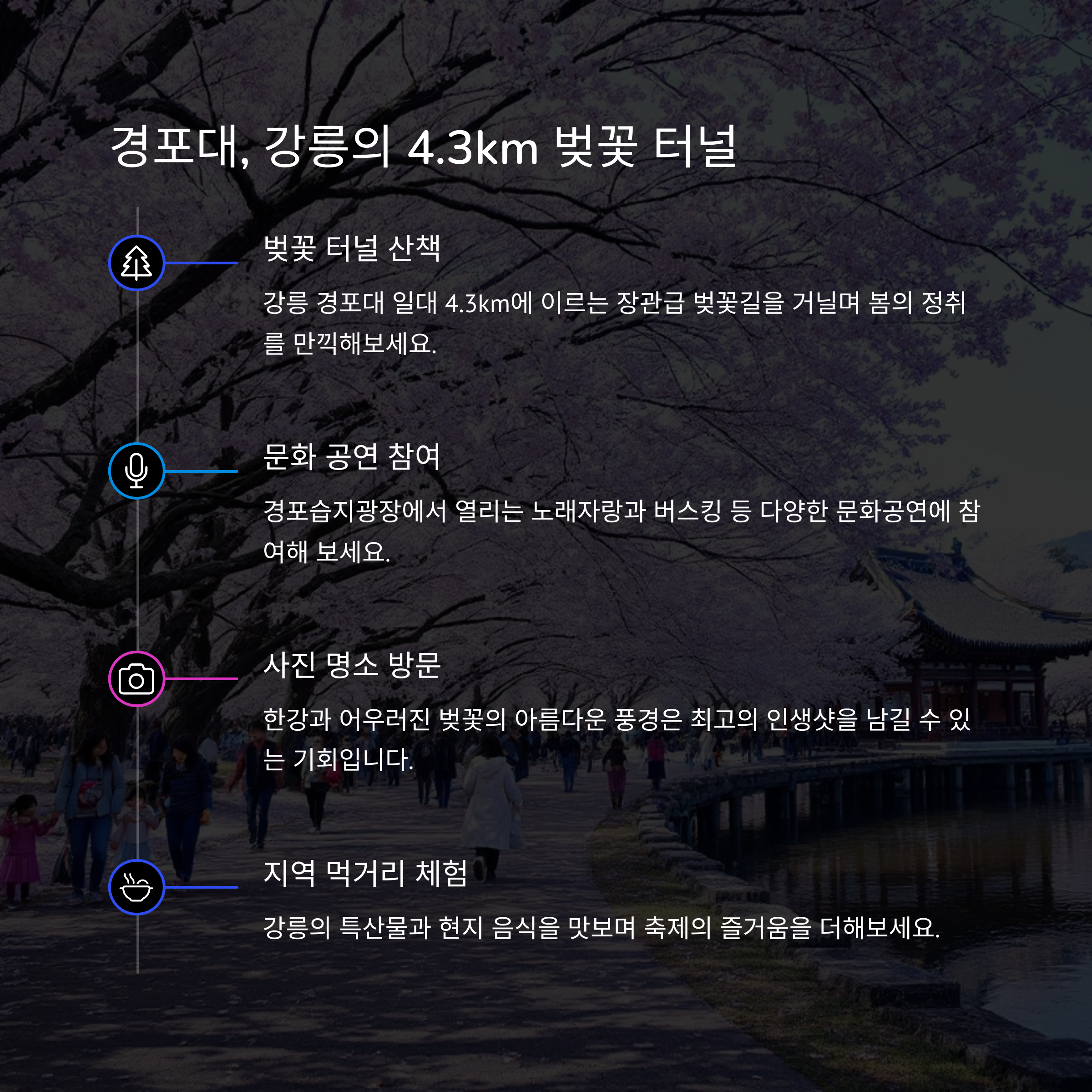 2025년 4월 가족과 함께 즐길 수 있는 주요 축제