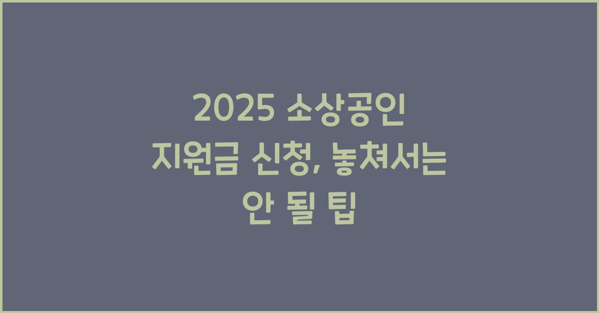 2025 소상공인 지원금 신청