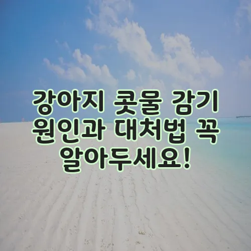 강아지 콧물 감기 원인과 대처법 꼭 알아두세요!