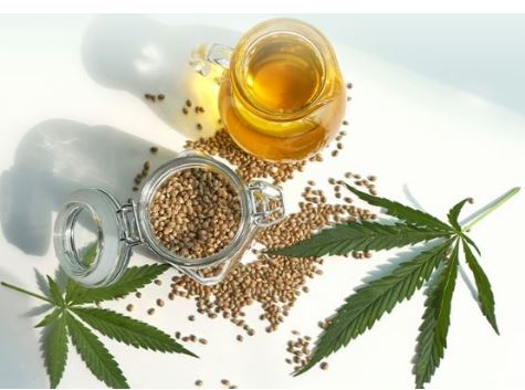 대마-종자유-효능-가격