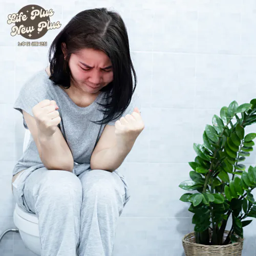 바른곡물효소 변비탈출