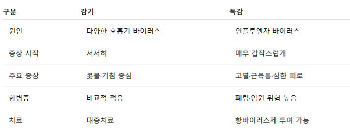 독감증상