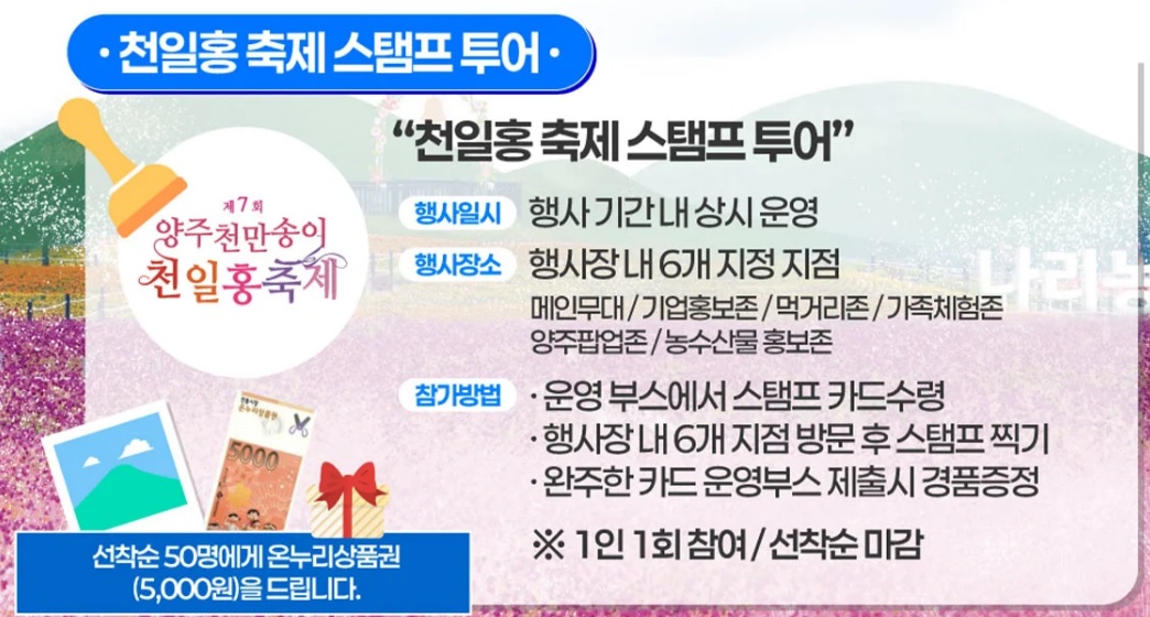 양주 나리농원 천일홍축제