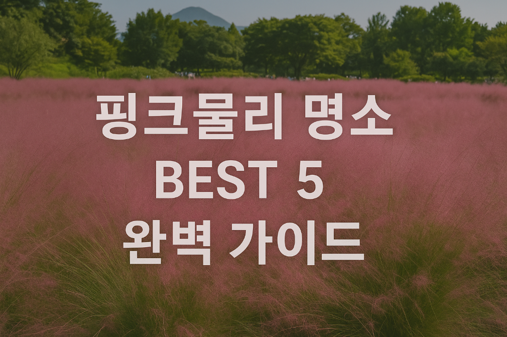 핑크뮬리 명소 BEST 5 완벽 가이드