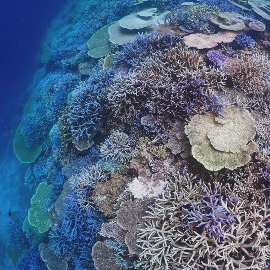 미야코지마 여행 03