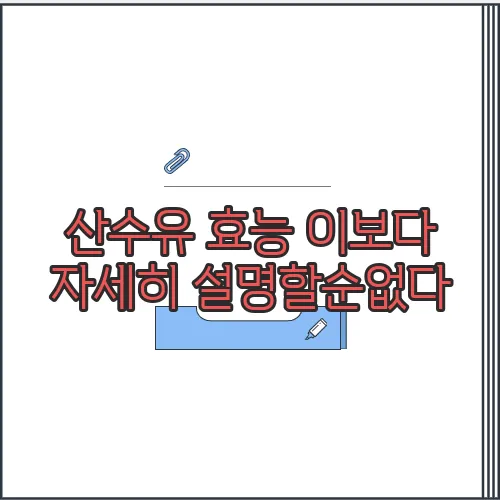 산수유 효능 이보다 자세히 설명할순없다