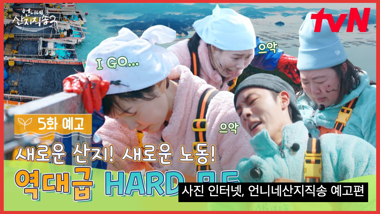 언니네산지직송 완도 영풍마을 촬영지 따라 여행 코스 추천