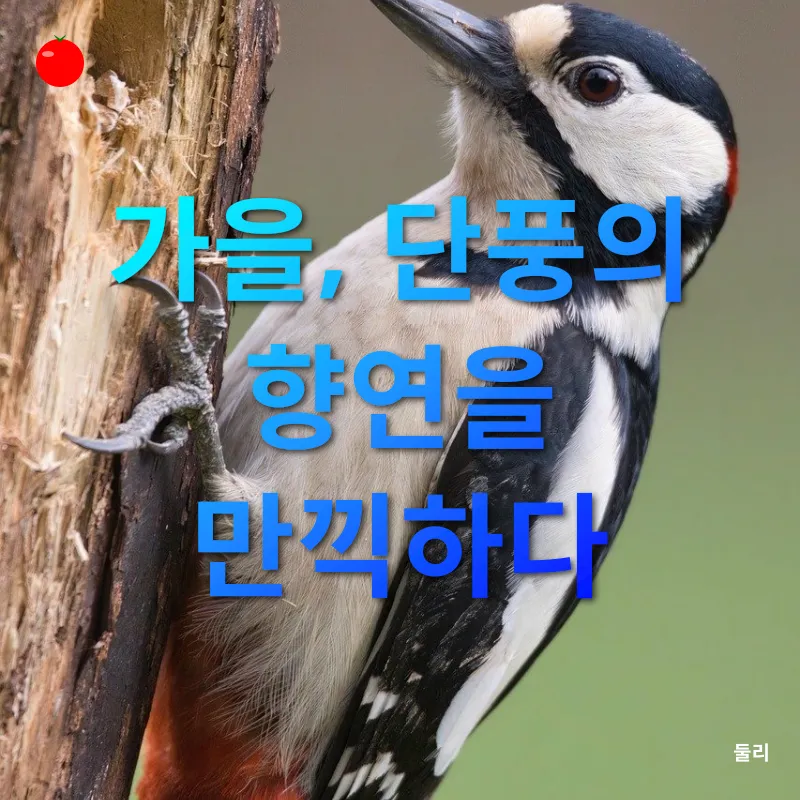 계절별 사진 촬영_3