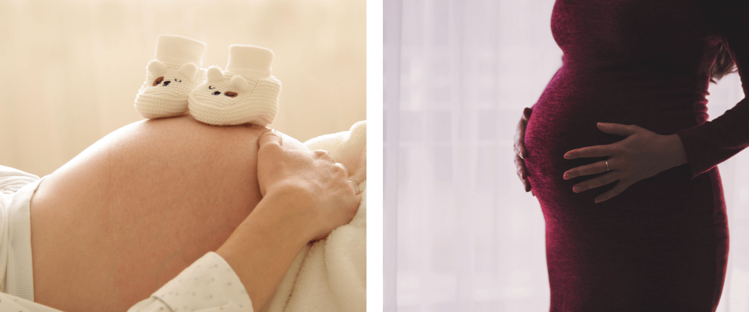임산부 사진