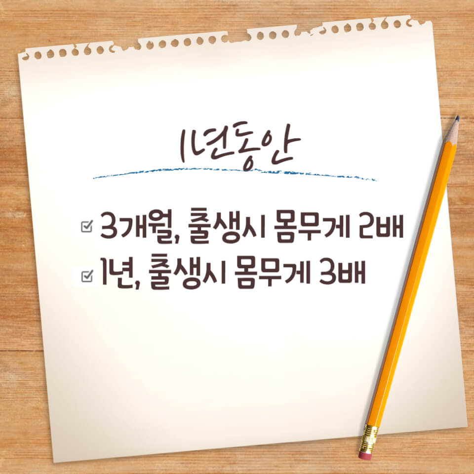 신생아 평균 몸무게 범위