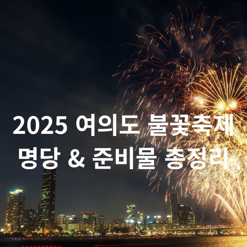 2025 여의도 불꽃축제 명당 &amp; 준비물 총정리