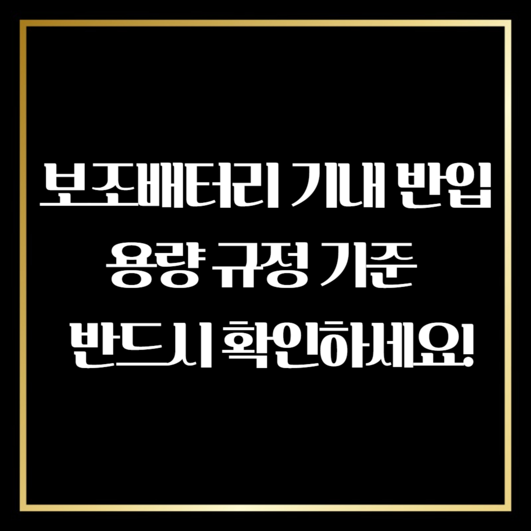 보조배터리 기내 반입 용량