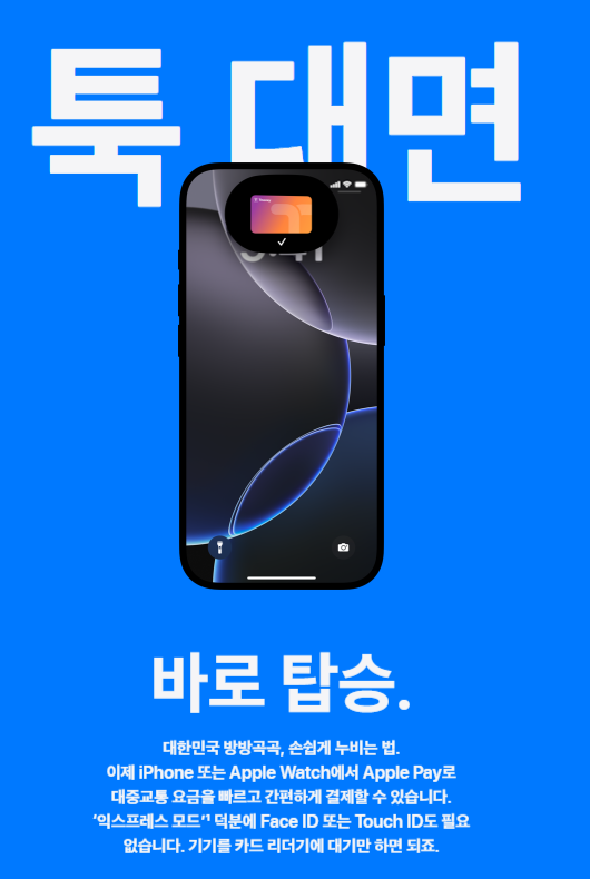 애플페이 티머니 사용법 완벽 정리 (2025년 최신)