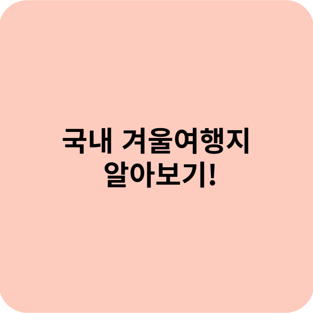 국내 겨울여행 추천