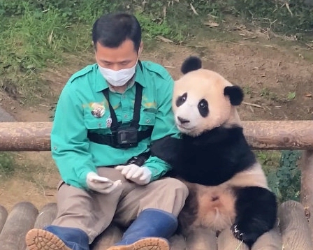 강철원 사육사 프로필 나이 고향 학력 경력 &amp;#124; 강철원 모친상 불구하고 푸바오 중국 동행 이유 
