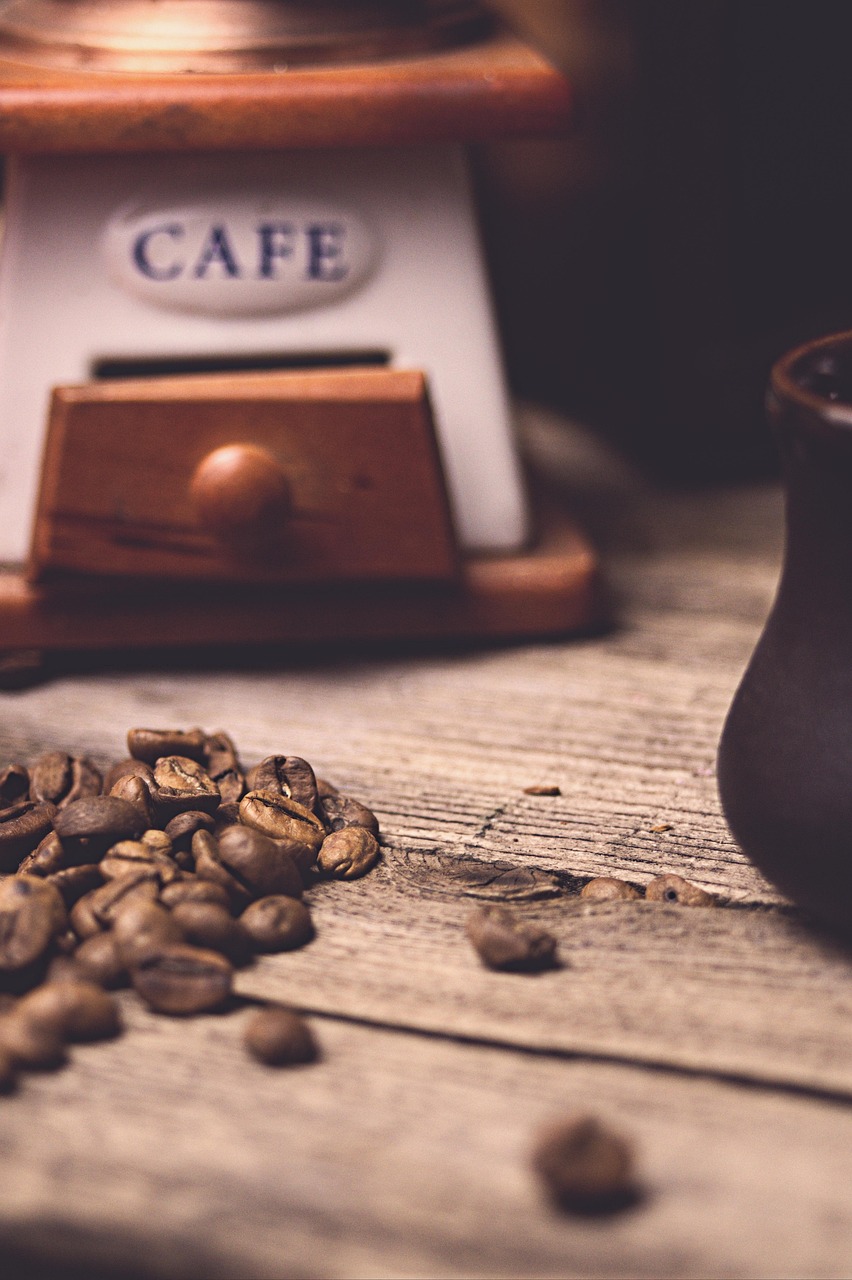 광복절 기념행사 사전 예약 방법 신청 방법