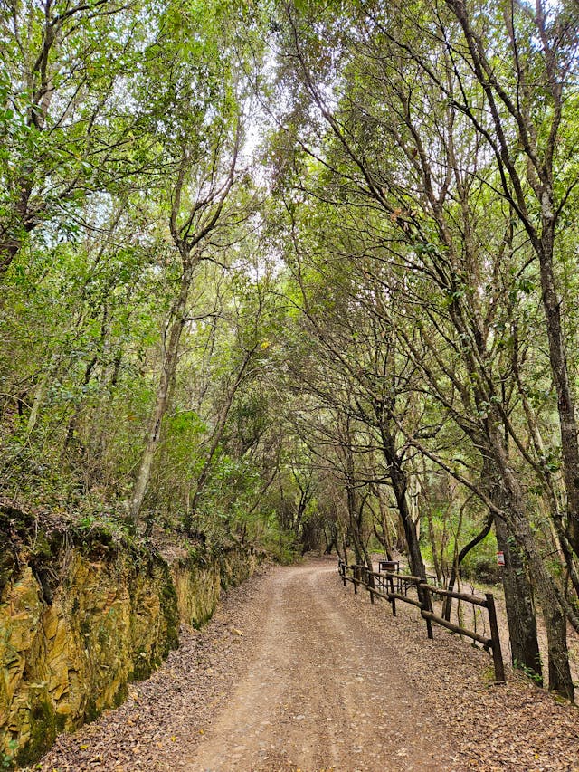 일주일 날씨 예보 맑음
