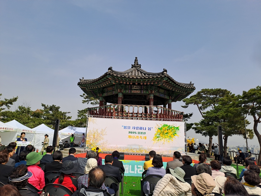 팔각정-개나리축제-객막식