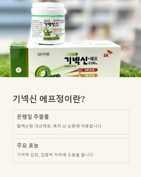 기넥신 에프정이란?