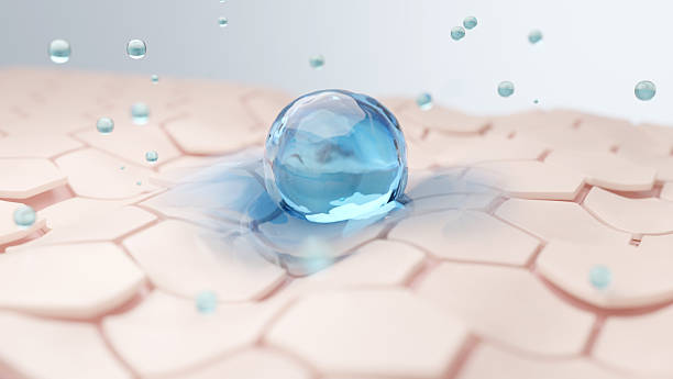 겨울 피부 보습 관리