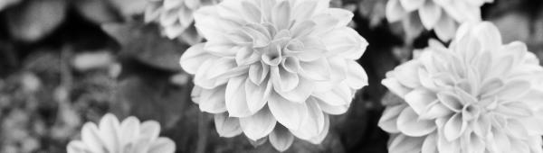 비료: 질소 X, 인산 O