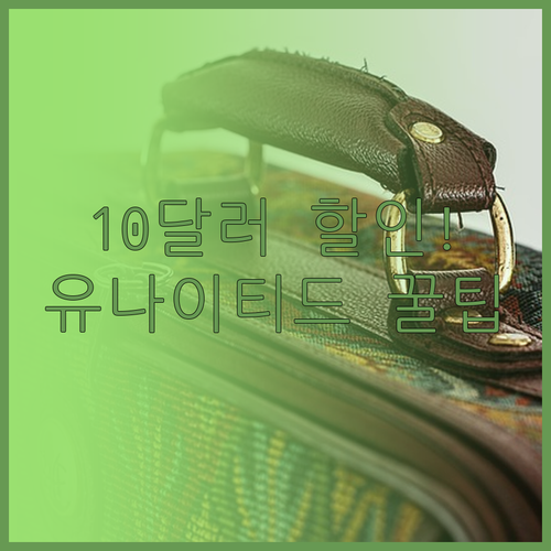 유나이티드 항공 수하물 사전 결제로 ..