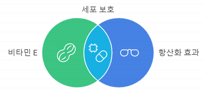 아몬드 버터 황산화 효과