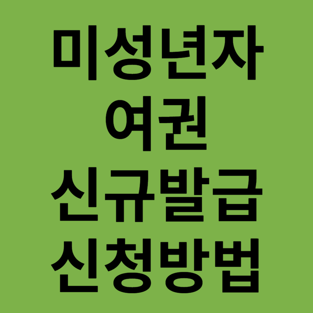 미성년자여권신규발급서류비용대리인