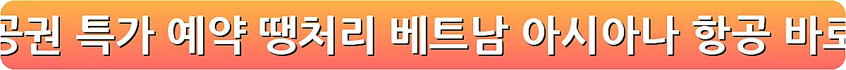 다낭 항공권 특가 예약 땡처리 베트남 아시아나 항공_4