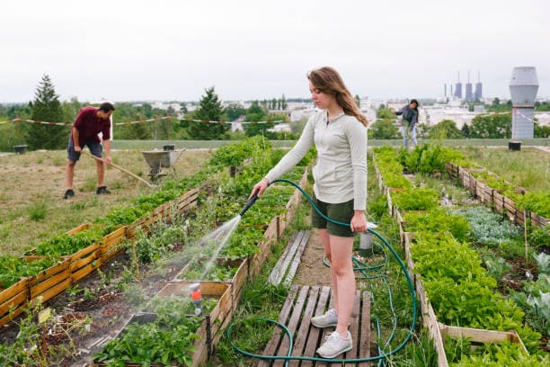 학교와 연계한 도시 농업: 어린이 농장 교육 사례