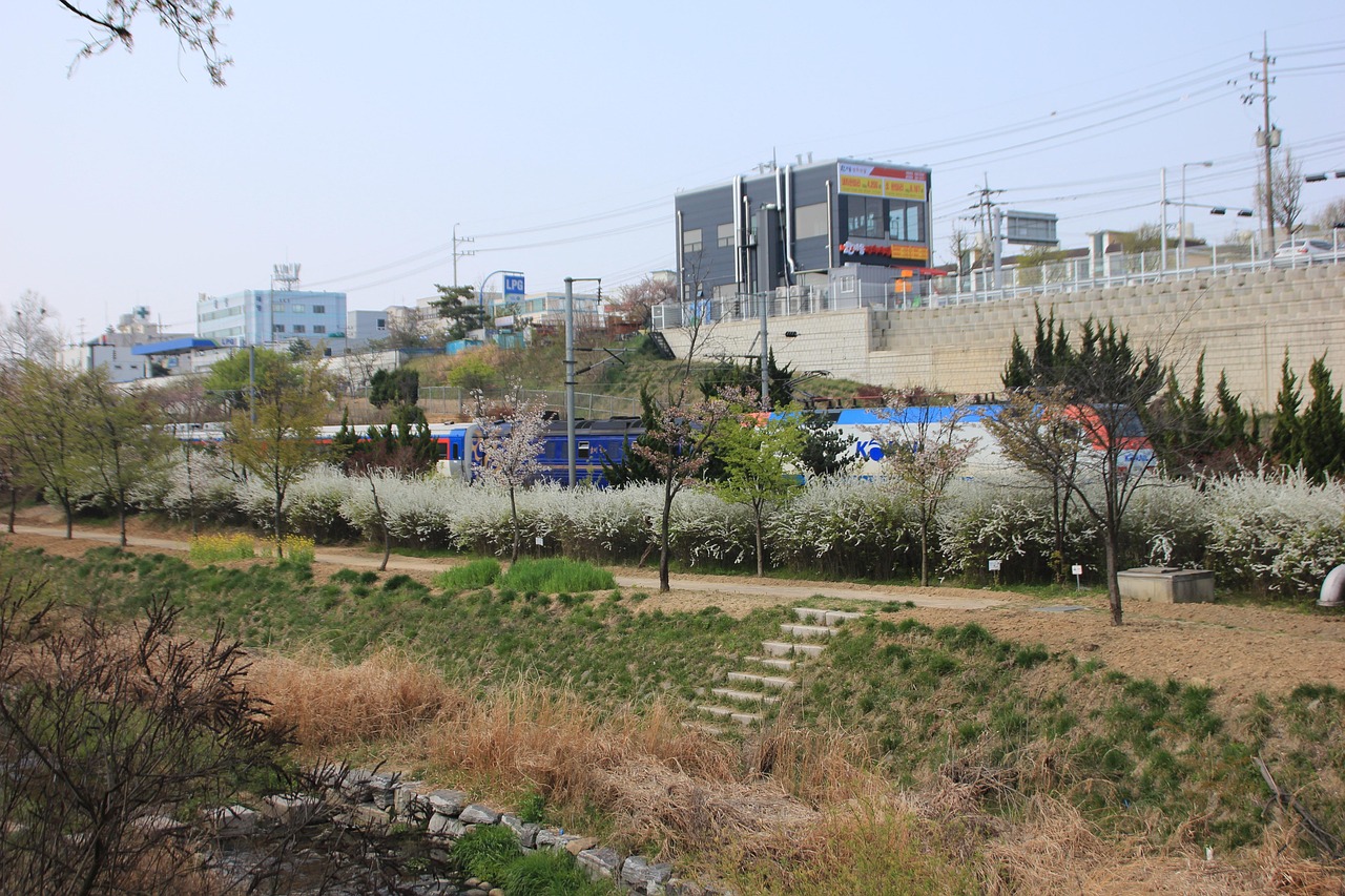 무궁화호 노선&amp;#44; 가격&amp;#44; 좌석추천&amp;#44; 콘센트 위치