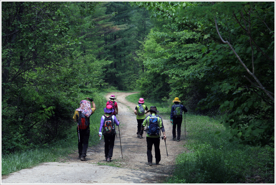 황매산 하행길 사진