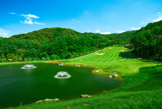 2025 오로라월드 레이디스 챔피언십 무료티켓 주차장 갤러리 총정리