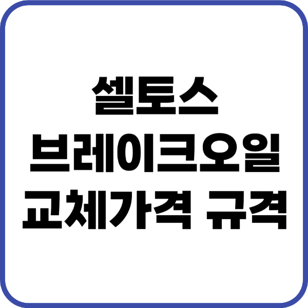 셀토스 브레이크오일