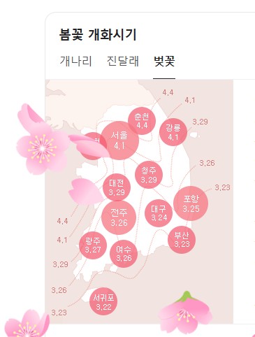 전국 벚꽃 개화 시기