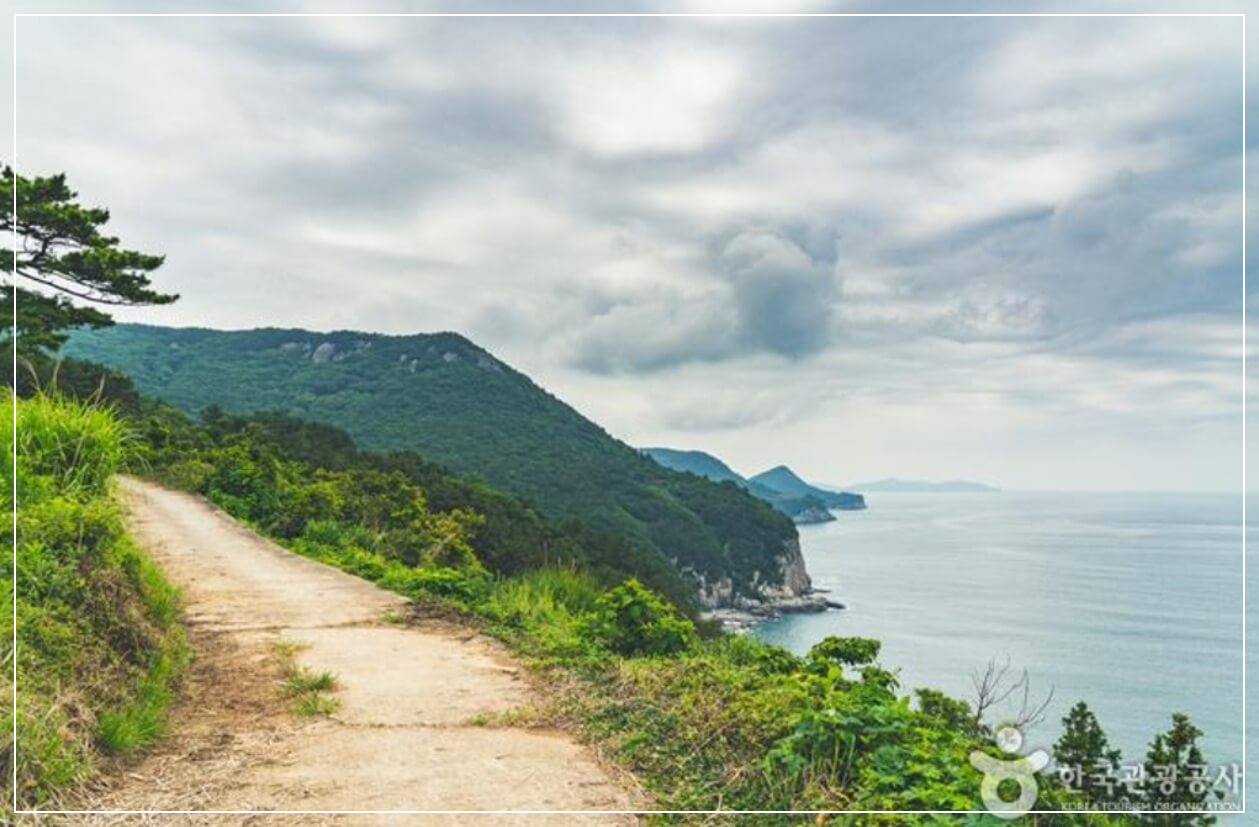 여수 가볼만한곳 베스트10 금오도 비렁길