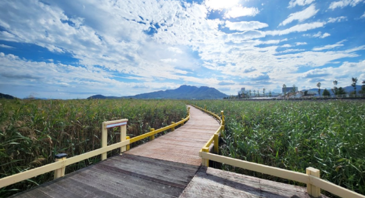 강진만 생태공원