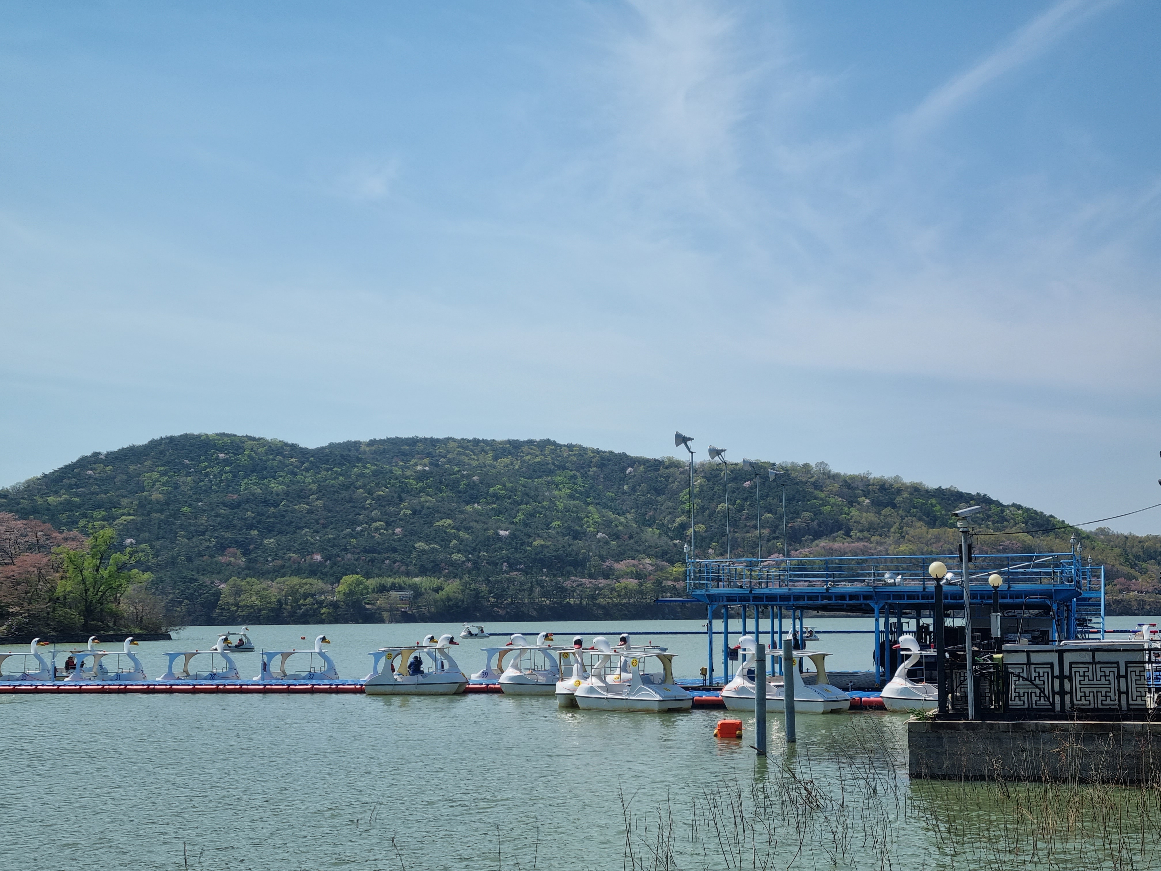 경주 보문단지 오리배