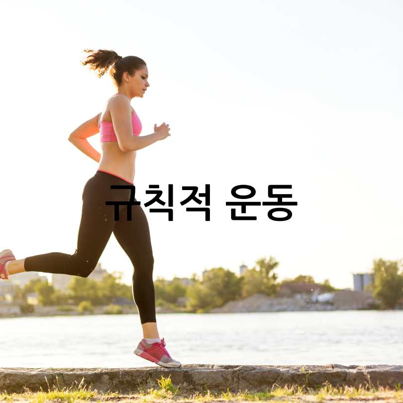 A형독감과 B형독감 차이