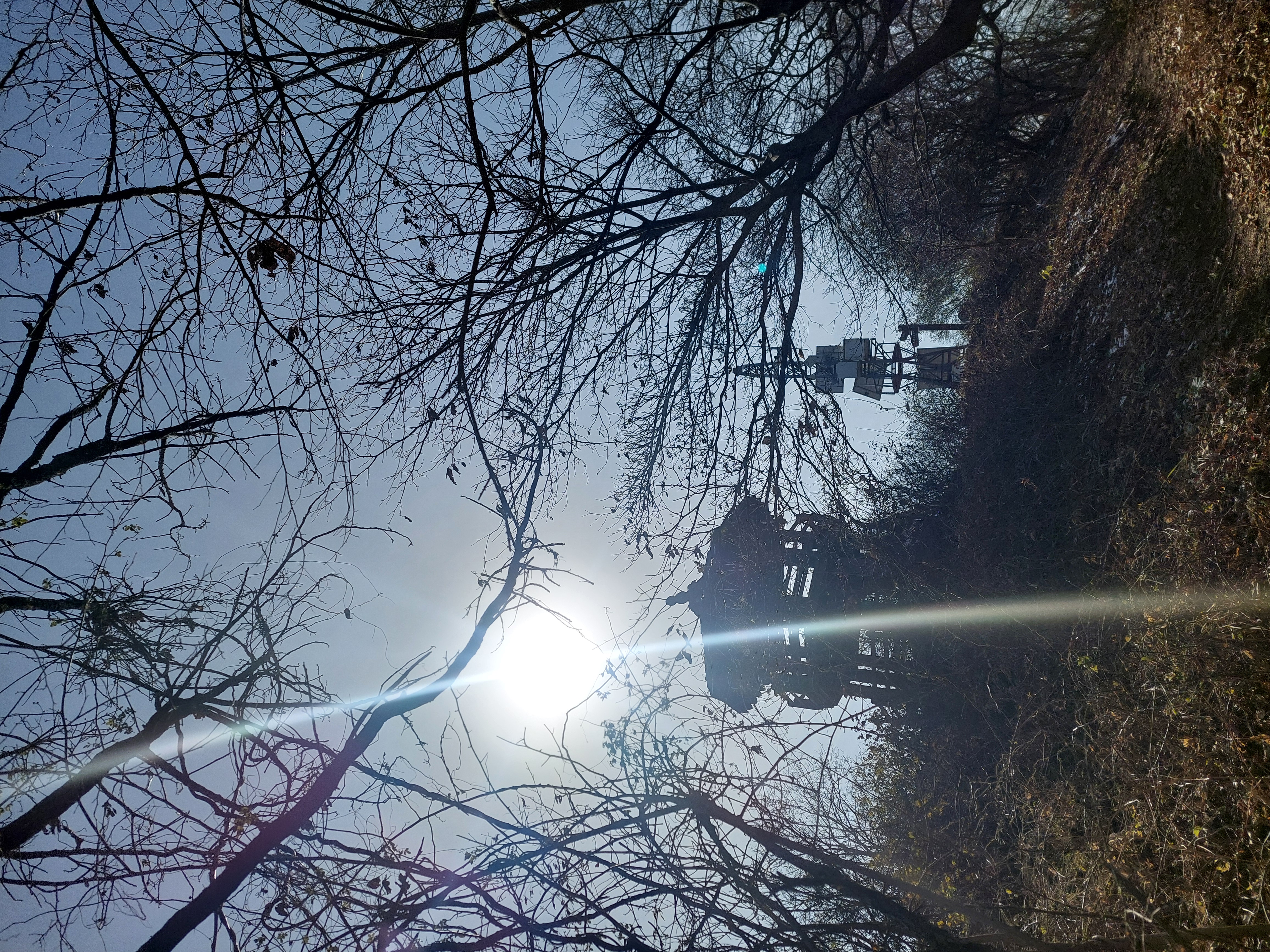축령산